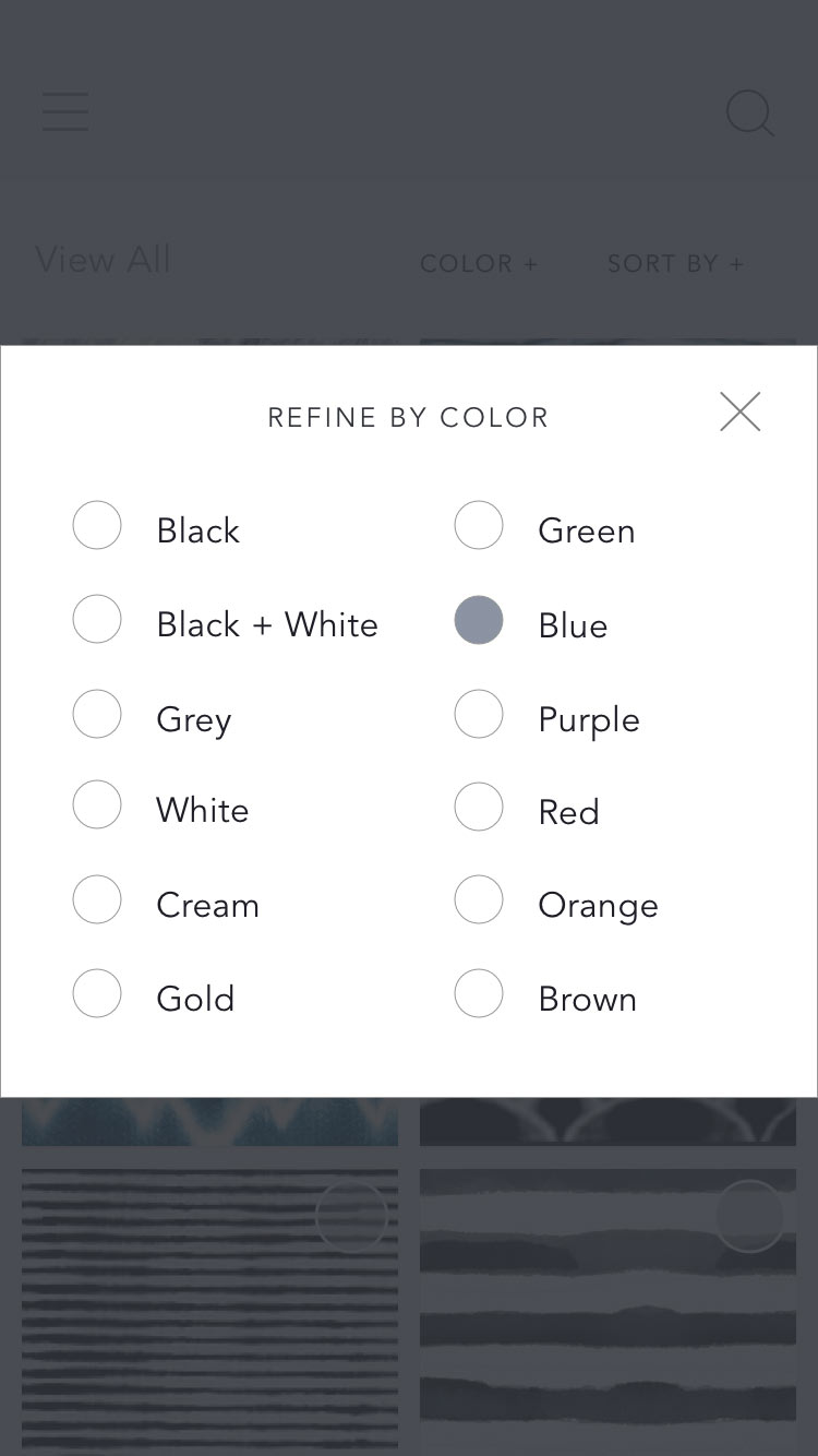 Filter menu open to filter by color, with blue selected.